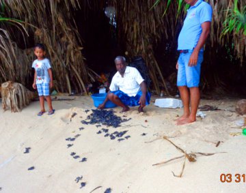 Koggala Turtle Farm