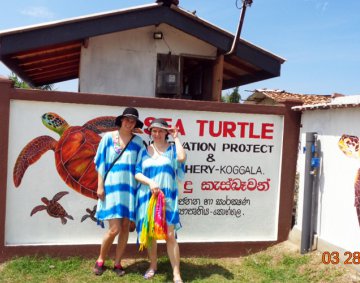 Koggala Turtle Farm