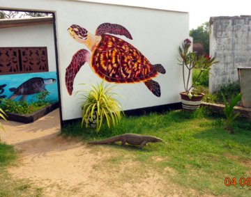 Koggala Turtle Farm