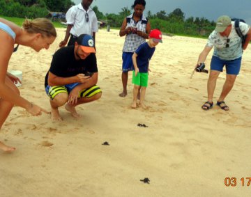 Koggala Turtle Farm