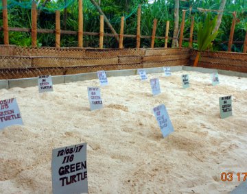 Koggala Turtle Farm