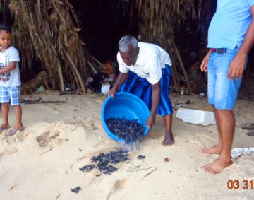 Koggala Turtle Farm